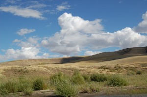 The Dunes on the Snake River