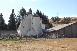 Dahmen Barn with Wagon Wheel Fence